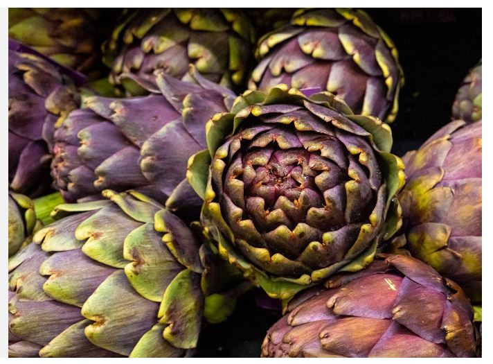 VENETO ECONOMY - Circular Fiber presenta Karshof