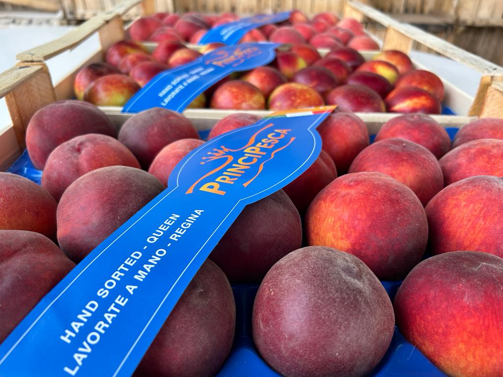 Veneto Economy - Pesche veronesi sempre più richieste