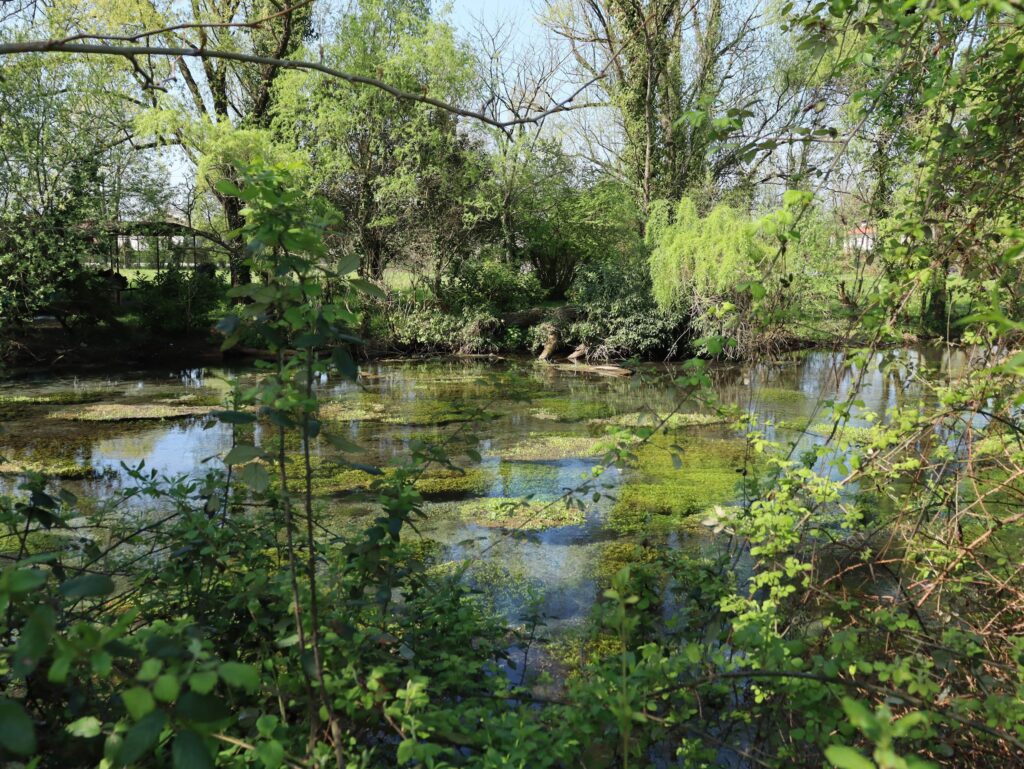 VENETO ECONOMY - Risorgive della Botteniga - bando