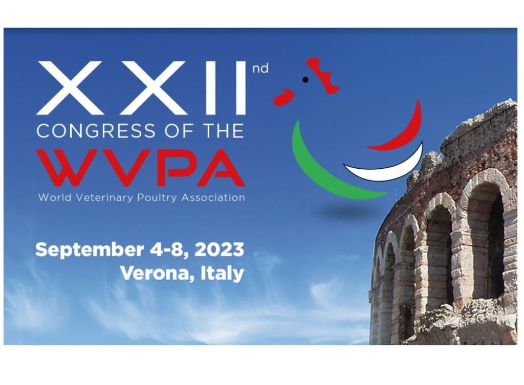 veneto economy- Il futuro dell’avicoltura mondiale